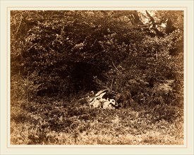 EugÃ¨ne Cuvelier, A Rock in the Forest, French, 1837-1900, c. 1865, albumen print from paper