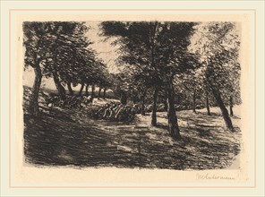 Max Liebermann, Herd of Sheep Under Trees, German, 1847-1935, 1891, etching and soft-ground etching