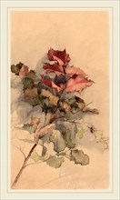 Karel Vitezslav Masek, Study of the shrub, Czech, 1865-1927, 1900, watercolor in red and green