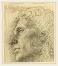 Alphonse Legros, Head of a Man Facing Left, French, 1837-1911, graphite on laid paper