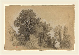 Jean Achille Benouville, French (1815-1891), Edge of a Wood, c. 1840, black and white chalk on buff