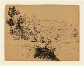 Félix Bracquemond, Coastal Landscape, French, 1833-1914, brush and black ink with (faded) blue wash