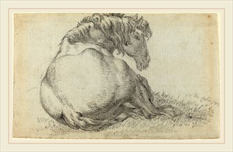 Attributed to Paulus Potter, Dutch (1625-1654), Resting Horse, black chalk on laid paper