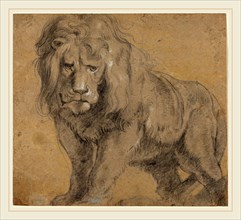 Sir Peter Paul Rubens, Flemish (1577-1640), Lion, c. 1612-1613, black chalk, heightened with white,