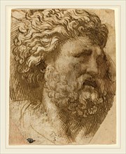 Domenico Campagnola, Italian (before 1500-1564), Head of a Man, pen and brown ink on laid paper