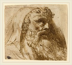 Domenico Campagnola, Italian (before 1500-1564), Head of a Man, pen and brown ink on laid paper
