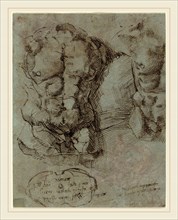 Italian 16th Century, Studies of a Male Torso, 16th century, pen and brown ink on gray-blue paper