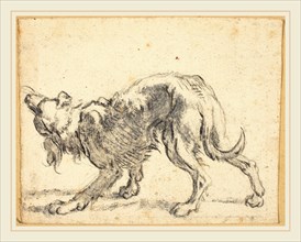 Herman Saftleven, Dutch (1609-1685), A Dog, black chalk with gray-brown wash on laid paper