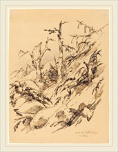 Adolphe Etienne Viollet-Le-Duc II, French (1817-1878), A Tree and Rocks, pen and iron gall ink,with