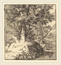 John Crome, British (1768-1821), Tree on a Mound, etching on chine applique