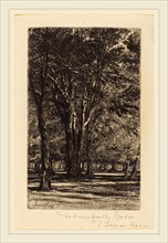 Francis Seymour Haden, British (1818-1910), Kensington Gardens (The Larger Plate), 1860, etching