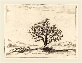 Jacques Callot, French (1592-1635), Nightingale in a Bush, 1628, etching