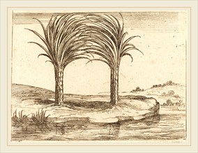 Jacques Callot, French (1592-1635), Two Palm Trees, etching