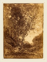Jean-Baptiste-Camille Corot, French (1796-1875), Ambush (L'Embuscade), 1858, cliche-verre (salt