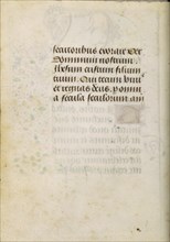 Text Page
