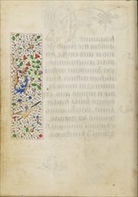 Decorated Text Page