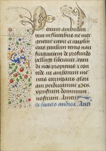 Decorated Text Page