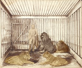 Portrait of a Man with Lions