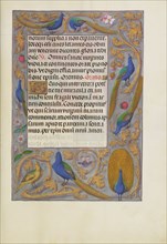 Decorated Text Page