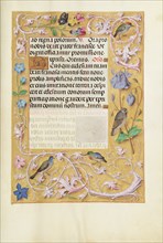 Decorated Text Page