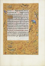 Decorated Text Page