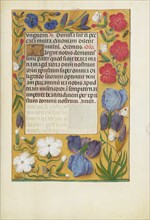 Decorated Text Page