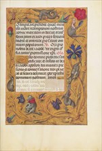 Decorated Text Page