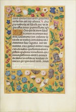 Decorated Text Page