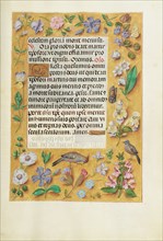 Decorated Text Page