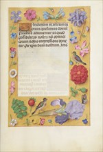 Decorated Text Page