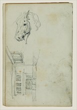 Horse head, view of a courtyard
