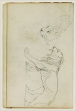 Lion walking, head of a lioness