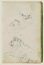 Seated lion, two lion head studies
