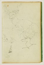 Studies of a seated stag, a fawn, a goat head