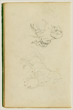 Two studies of a rearing horse