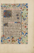 Decorated Text Page