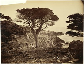 [Cypress Point, Monterey]