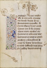 Decorated Text Page