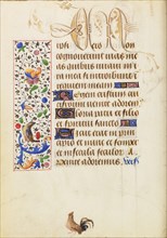 Decorated Text Page