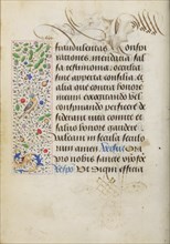 Decorated Text Page