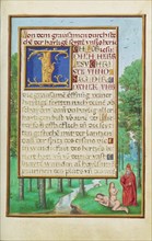 Border with the Creation of Eve