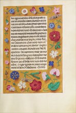 Decorated Text Page