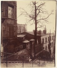 [Staircase, Montmartre]