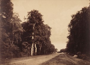 Route de Chailly, Fontainebleau