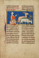 Amos and Three Goats