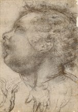 Head of a Child, an Angel and a Hand (recto),  Male Figure (vers
