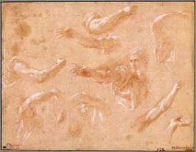 Study of God the Father with Angels