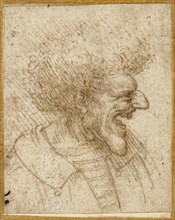 Caricature of a Man with Bushy Hair