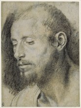 Study of the Head of a Bearded Man