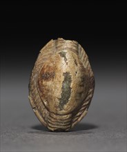 Cowroid, 1450-1350 BC. Egypt, New Kingdom, mid-Dynasty 18 (1540-1296 BC). Glazed steatite; overall: